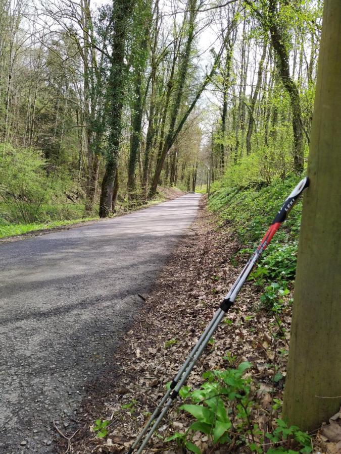 Blick Ins Wutachtal Wutoschingen Exterior foto
