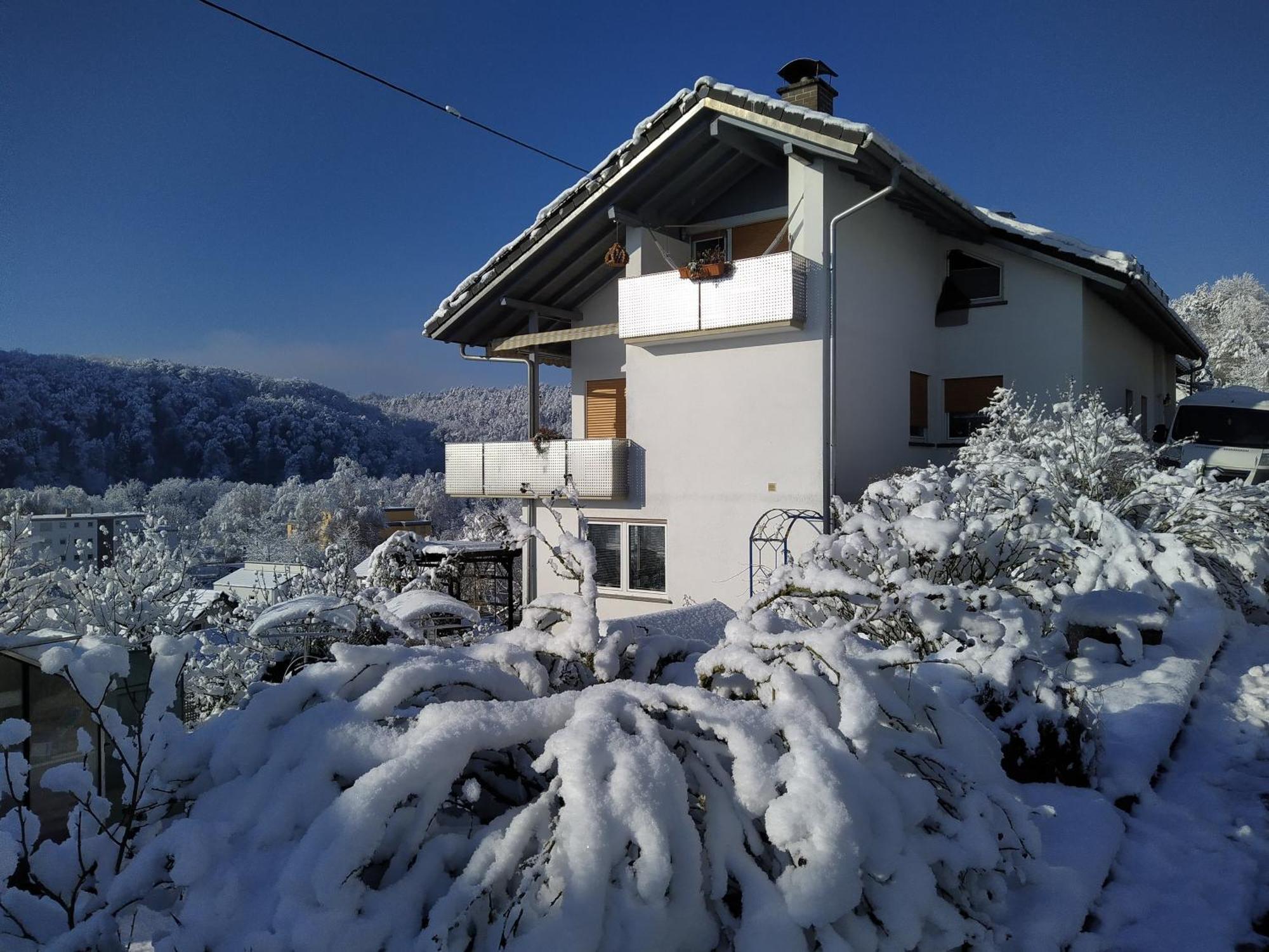 Blick Ins Wutachtal Wutoschingen Exterior foto